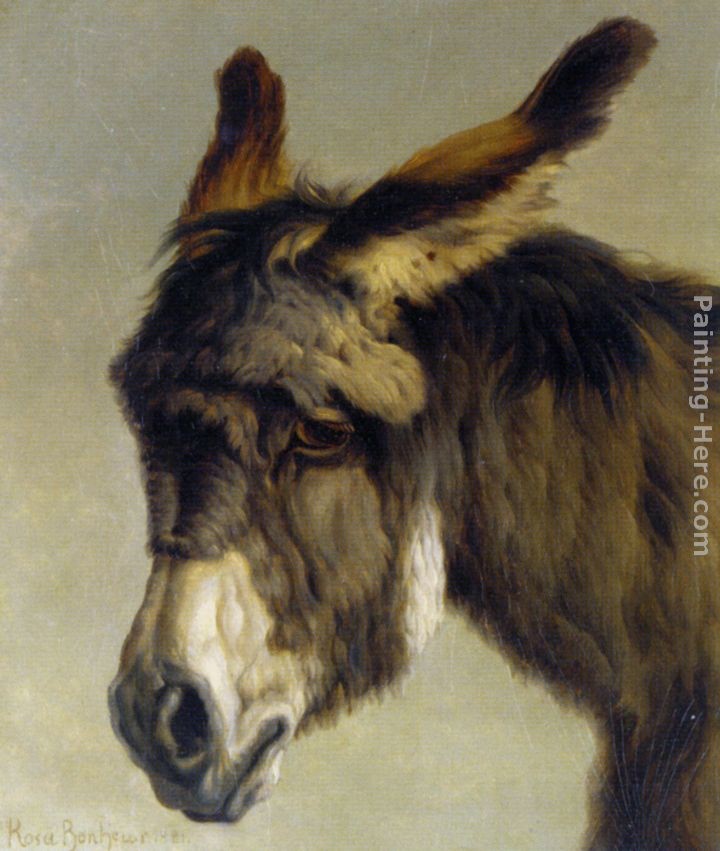 Rosa Bonheur Head of a Donkey